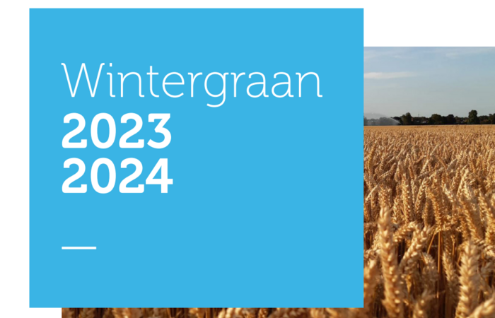 Wintergraan 2023-2024