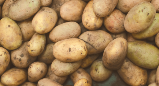 Kiemremming in aardappelen
